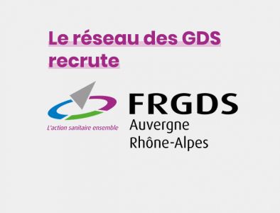 Photo Frelon asiatique et recherche de nids