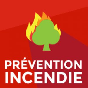 Photo Feux de forêts : tous mobilisés !