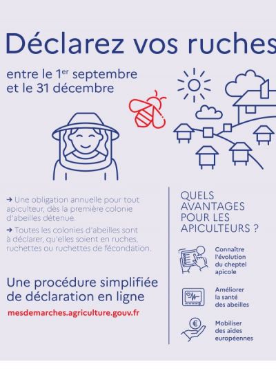 Photo Campagne de Déclaration des ruches 2024