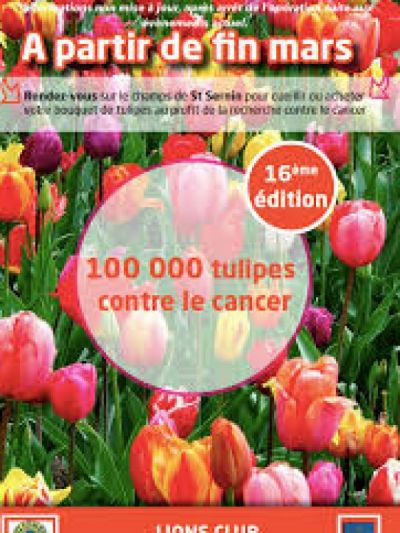 Photo Tulipes contre le cancer