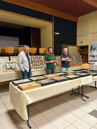 Vernissage « Insectes d’ici et d’ailleurs »