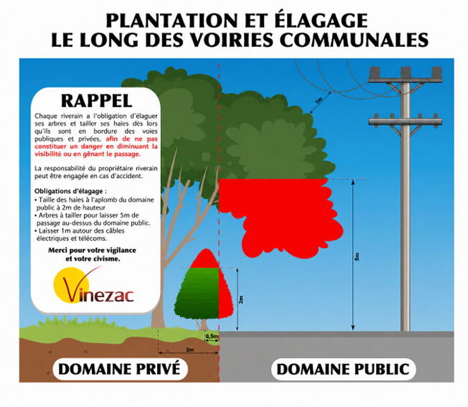 Elagage des haies et des arbres